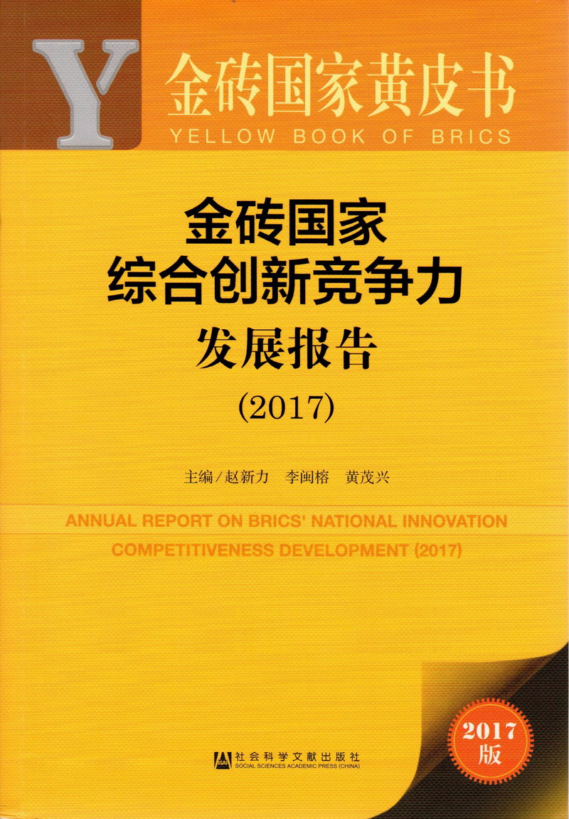 久久本道综合色狠狠五月金砖国家综合创新竞争力发展报告（2017）